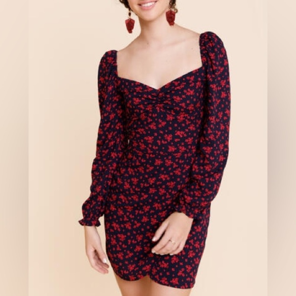Francesca’s RIXXI Clothing Company Floral Mini dress